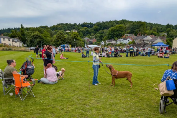 Our First Bonfire Night